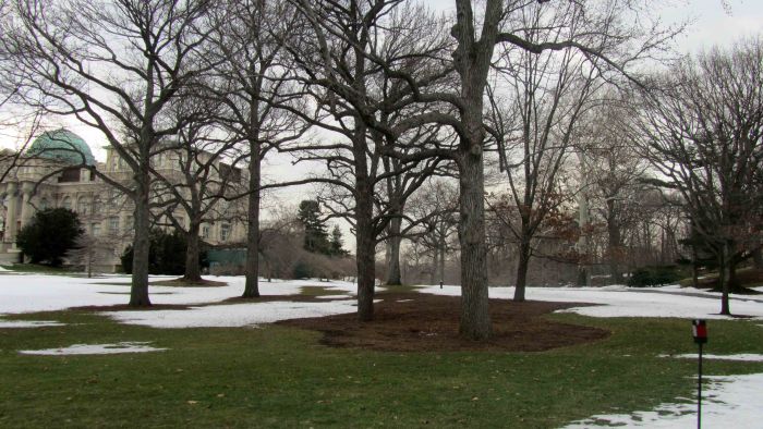 New_york_botanical_garden_27