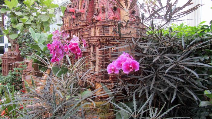 Botanical_garden_train_exhibition_29