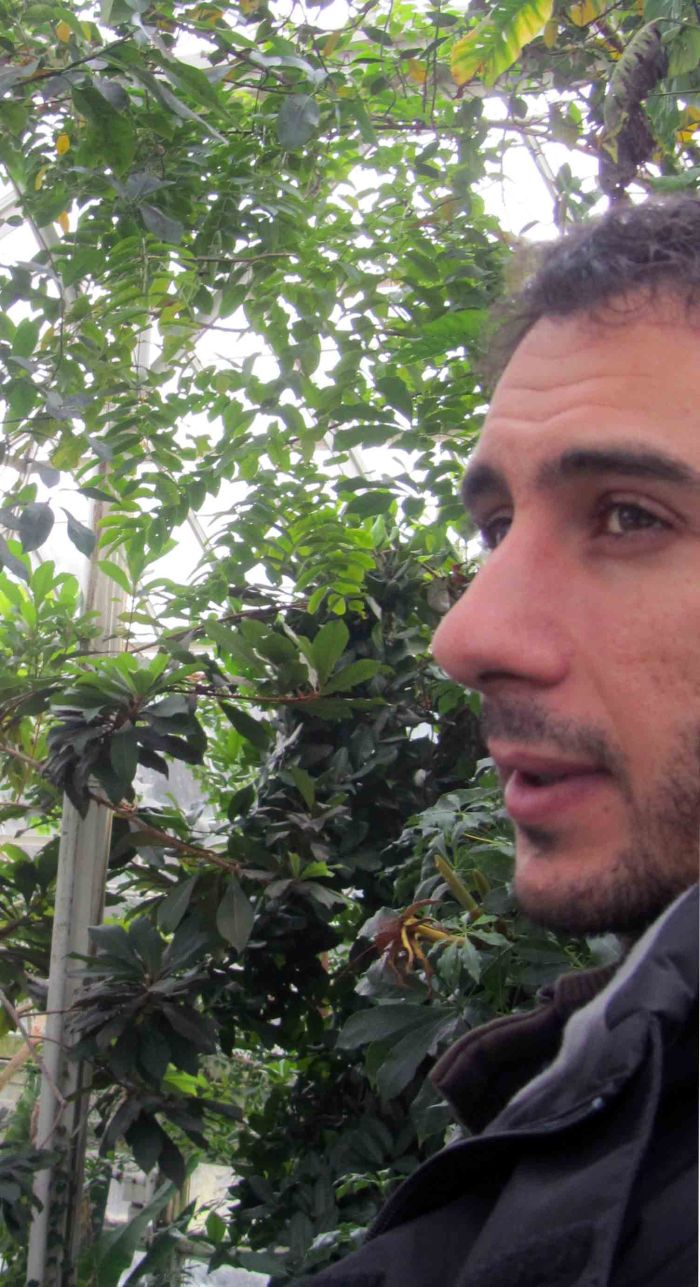 New_york_botanical_garden_7