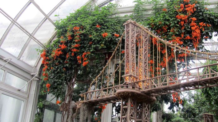 Botanical_garden_train_exhibition_17