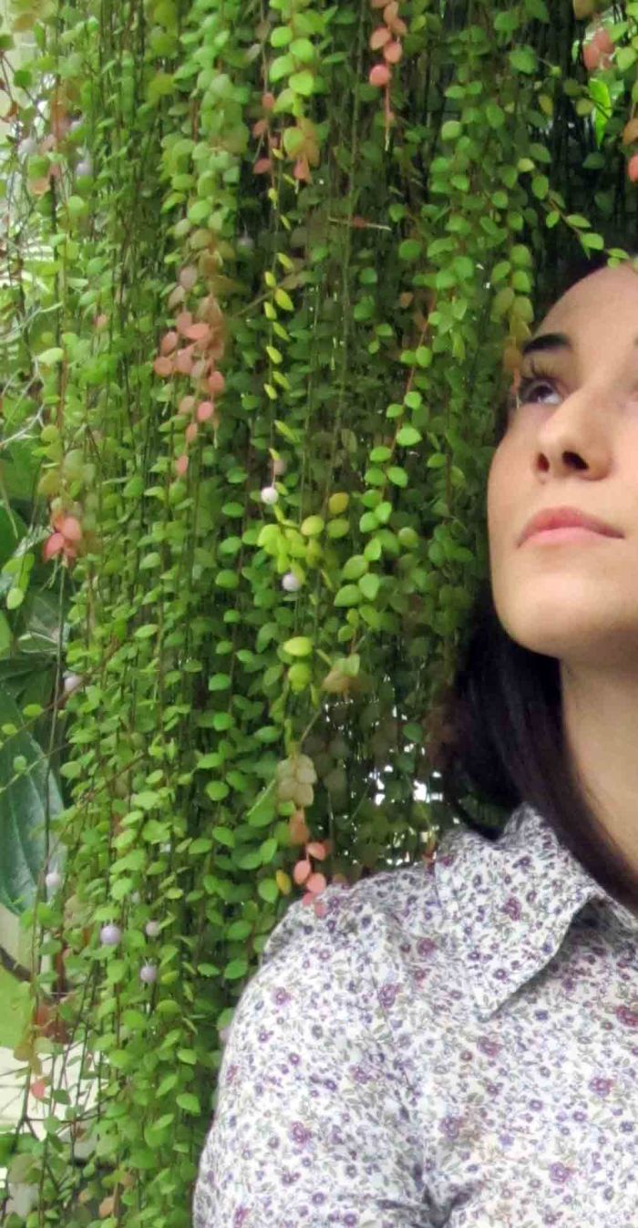 New_york_botanical_garden_8