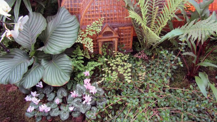 Botanical_garden_train_exhibition_7