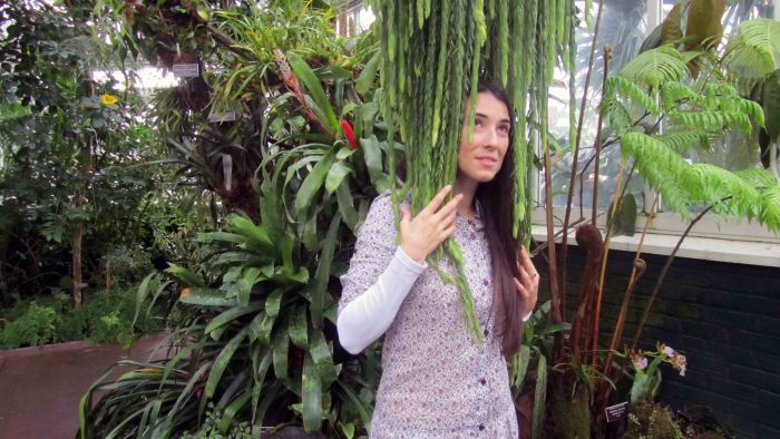 New_york_botanical_garden_11