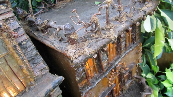 Botanical_garden_train_exhibition_38