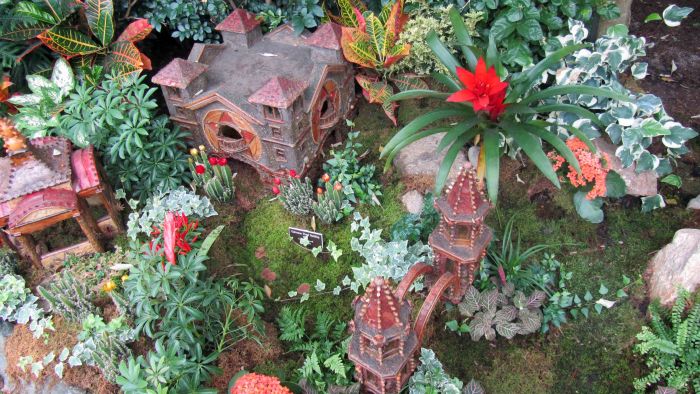 Botanical_garden_train_exhibition_32