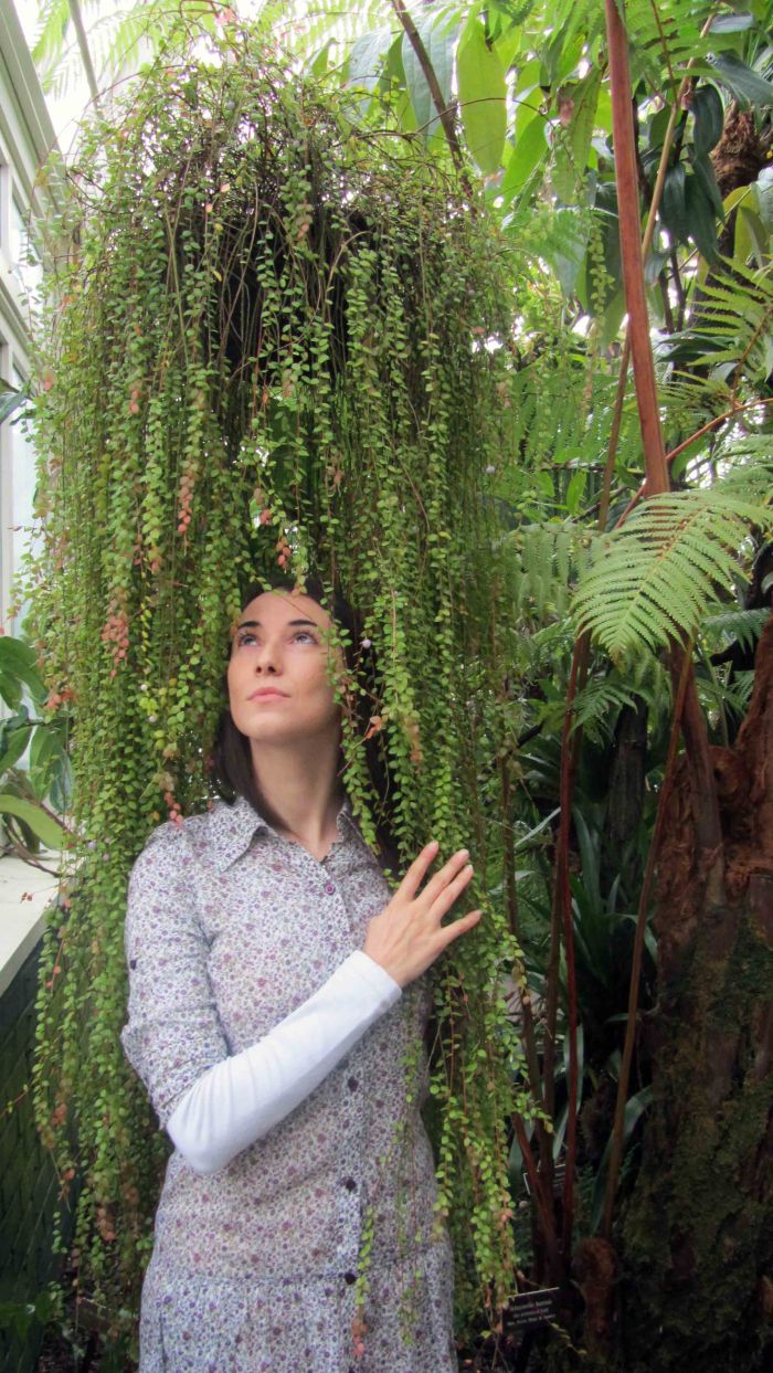 New_york_botanical_garden_9