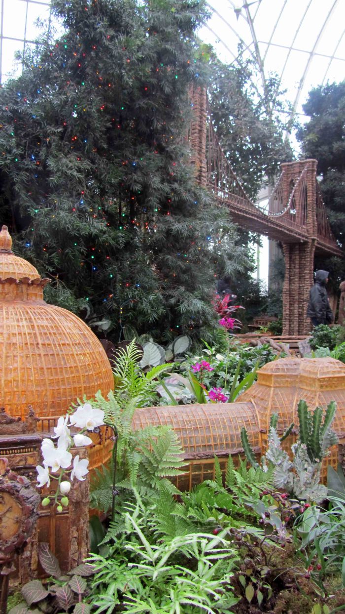 Botanical_garden_train_exhibition_6