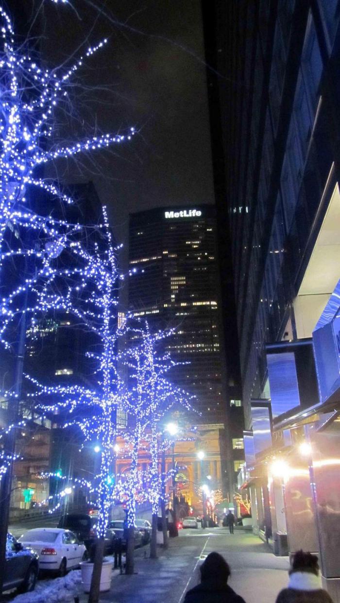 New_york_christmas_2010_28