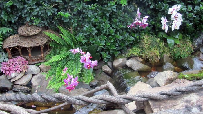 Botanical_garden_train_exhibition_21