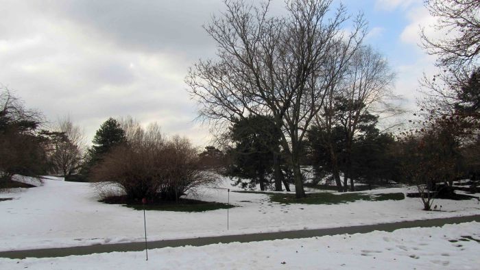 New_york_botanical_garden_26