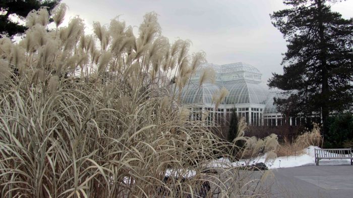 New_york_botanical_garden_25