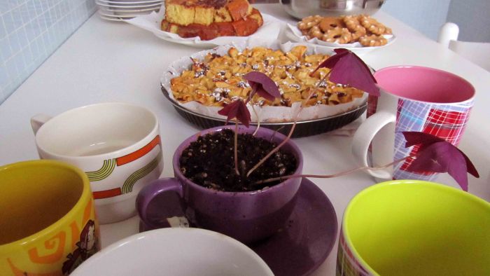 Silente_home_party_presentation