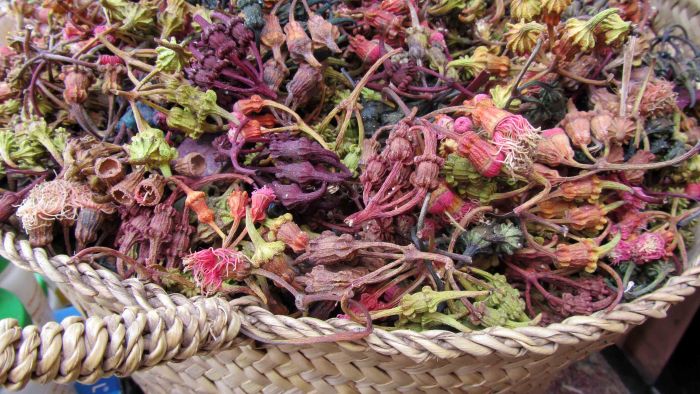 Silente_in_marrakech_8