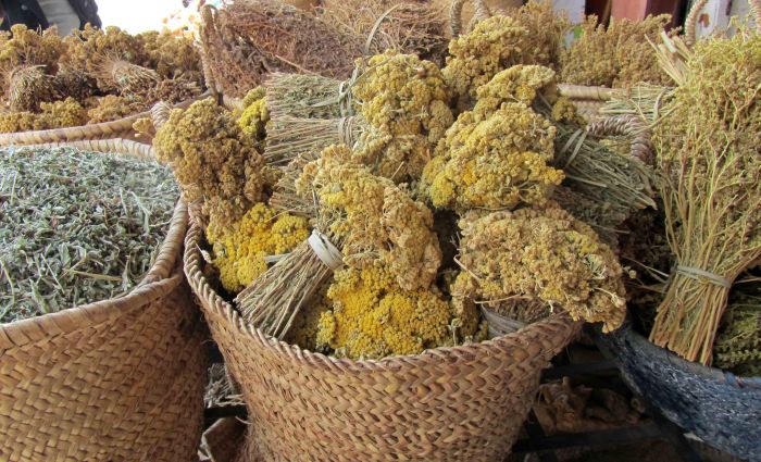 Silente_in_marrakech_13