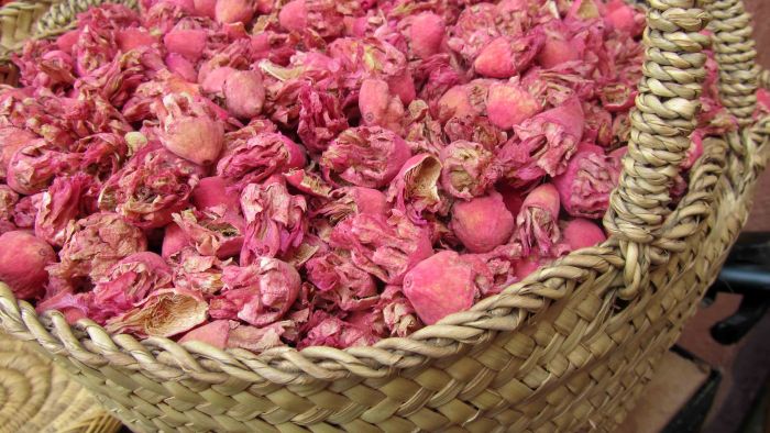 Silente_in_marrakech_7