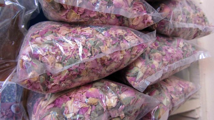 Silente_in_marrakech_5