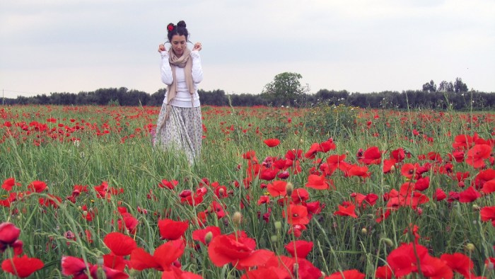 Red_field_1