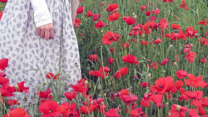 Red_field_2