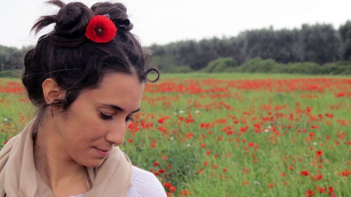 Red_field_5