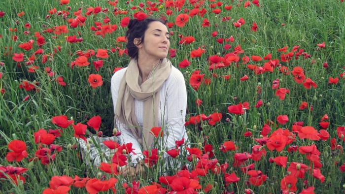 Red_field_4