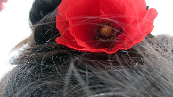 Red_field_6