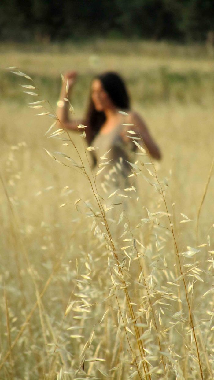 Silente_golden_sea_4