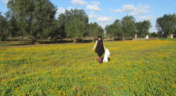 Silente_valentina_020