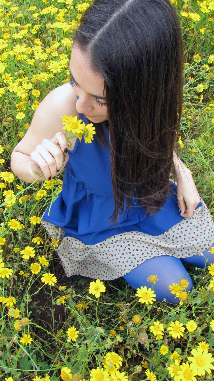 Silente_-_gialloeblu_2