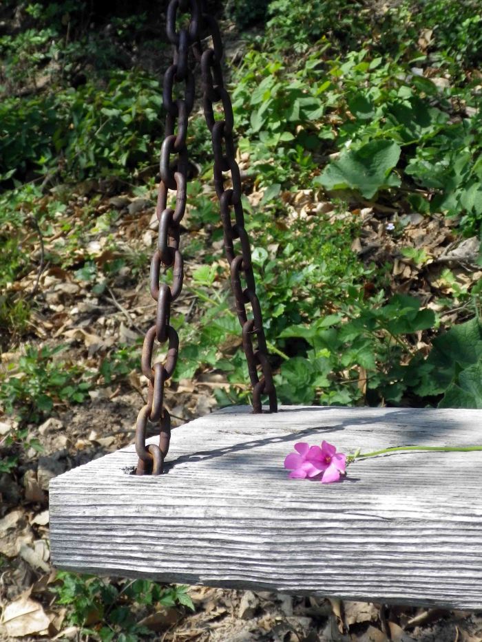 Silente_becomes_you_3_7