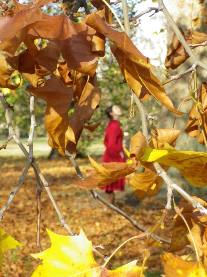 Silente_welcome_autumn_2012_1