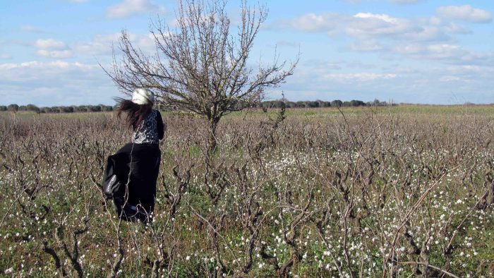 Silente_welcome_winter_022